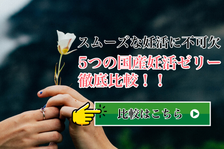 妊活ゼリー比較へ戻る